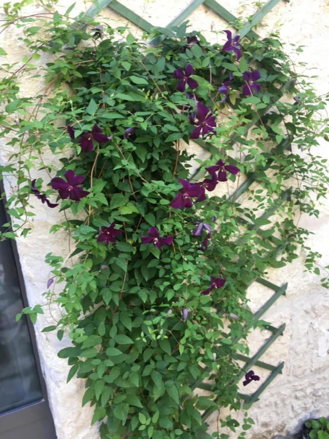 Chambre Sur Jardin Secret - Avignon Centre - Climatisee Exterior foto
